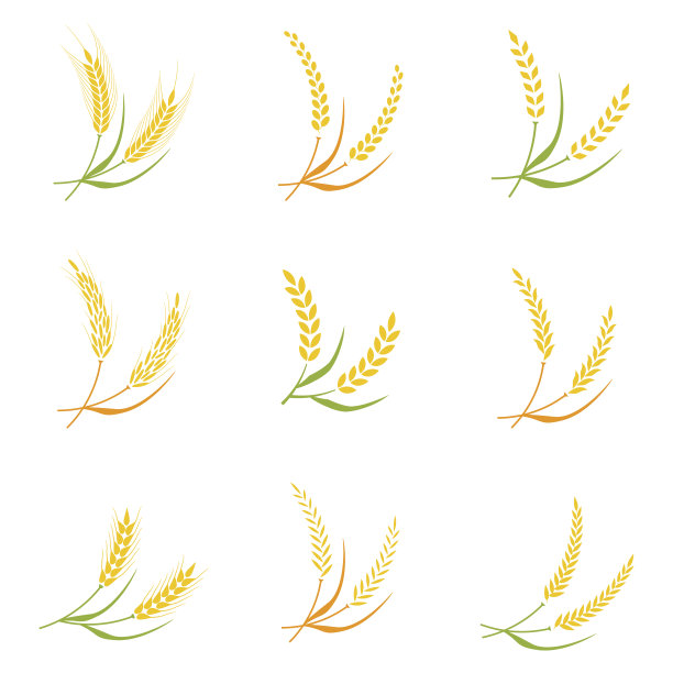 穗标志徽章图标小麦孤立矢量。图片下载