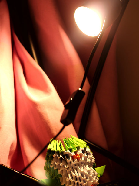 聚光灯下的超级明星猫头鹰图片下载