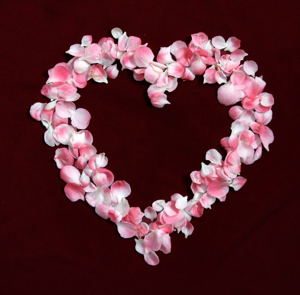 花瓣形成一个心形的环图片下载