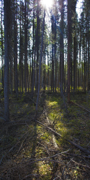 手指的光图片下载