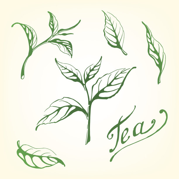 草药矢量图素材ID：159296086