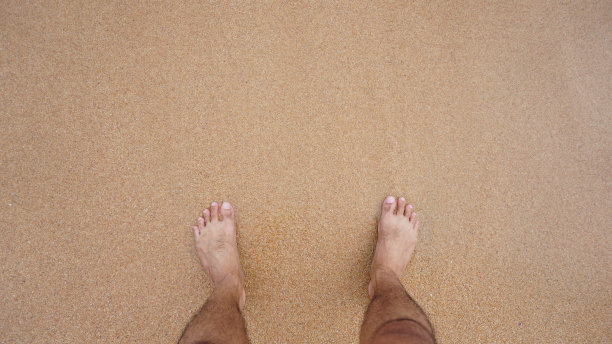 又回到海滩上图片下载