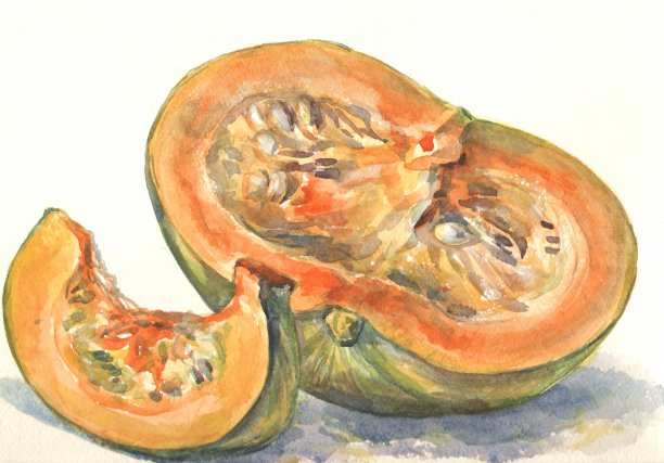 南瓜。这幅画。水彩图片下载