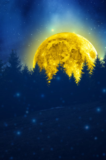 月亮和星星在冬天的森林剪影图片下载