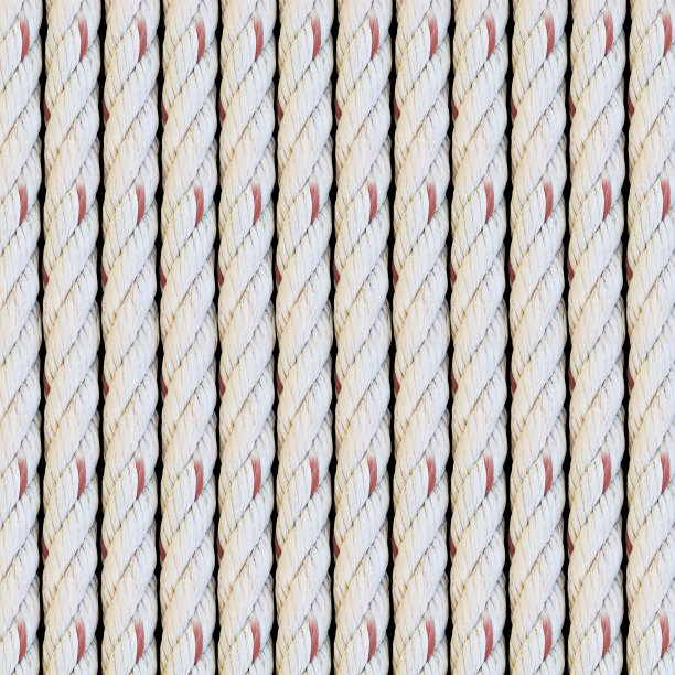 索结构图片下载