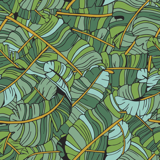 热带叶无缝模式。异域棕榈叶背景。手绘插图。图片下载