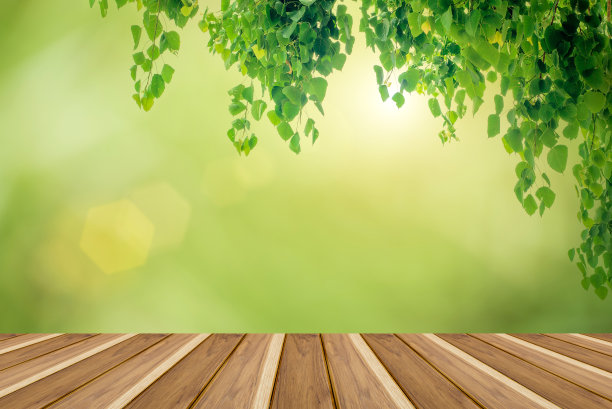 木架子以绿叶为背景图片下载