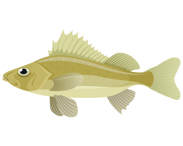 淡水飞边图片下载