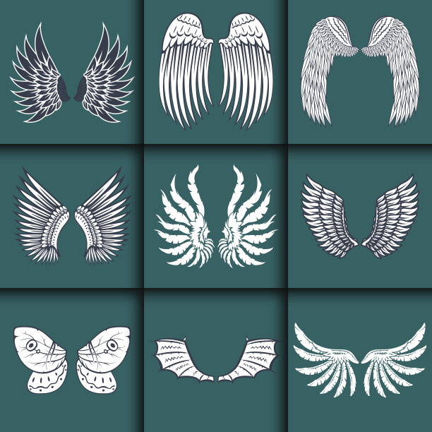 翅膀孤立动物羽毛羽翼鸟自由飞行自然和平设计矢量插图素材图片