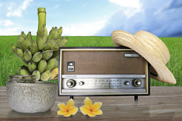 泰国农民的生活方式。图片下载