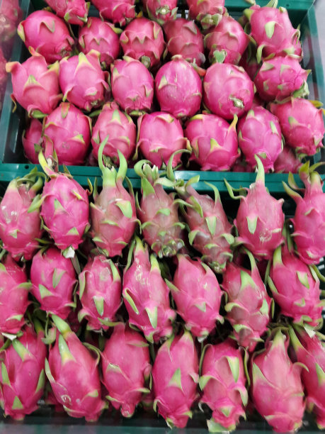 一堆又熟又甜的火龙果素材图片