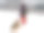 年轻的女人和狗在雪山上图片下载