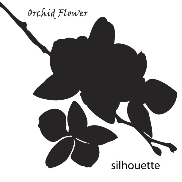 孤立在白色背景上的剪影兰花图片下载