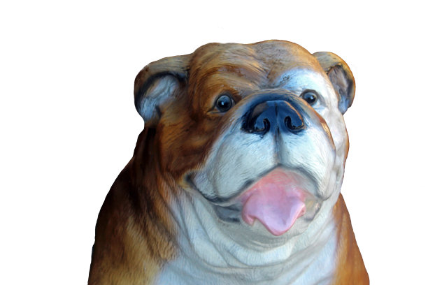 斗牛犬，塑料形象，孤立图片下载