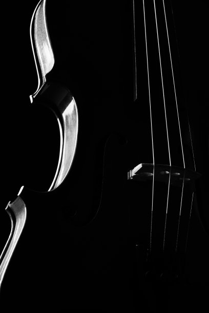 古典乐器小提琴的特写。弦乐器小提琴孤立在黑色背景与拷贝空间。图片下载