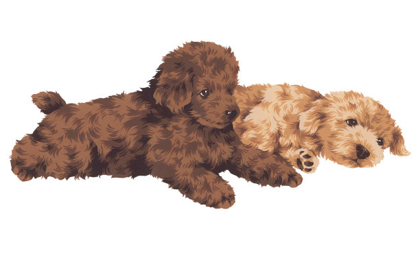 可爱的狗图片下载