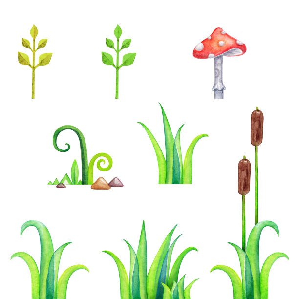 抽象的草剪辑艺术，水彩魔法森林插图，不寻常的自然设计元素孤立在白色的背景图片下载