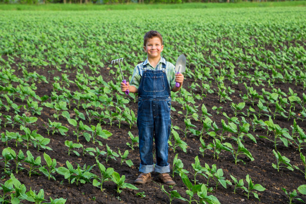 可爱的小男孩拿着园艺工具站在那里图片下载
