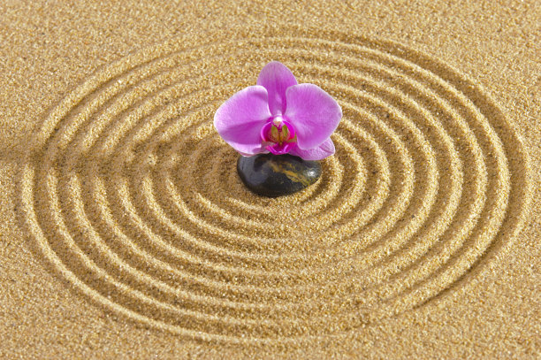 日本禅宗花园图片下载