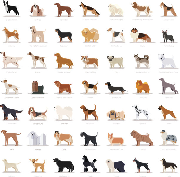 一组扁平的狗狗图标图片下载