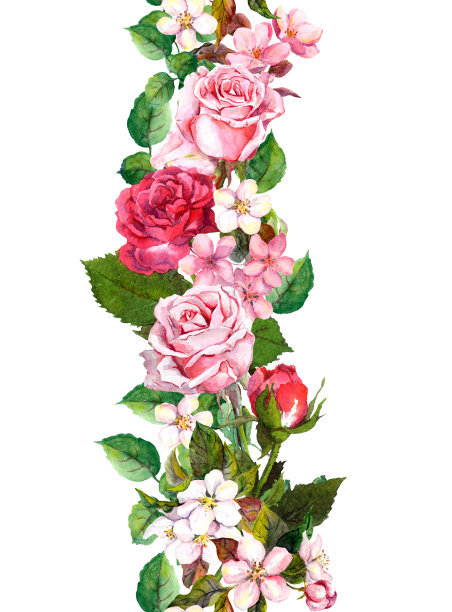 花边有苹果，樱花，樱花盛开，玫瑰花。水彩无缝的框架图片下载