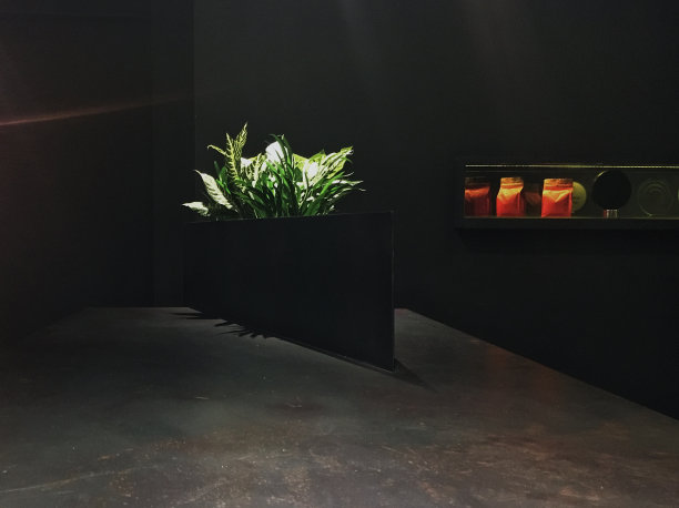 咖啡馆在黑色图片下载