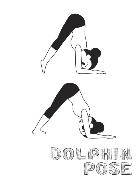 瑜伽海豚姿势卡通矢量插图单色图片下载