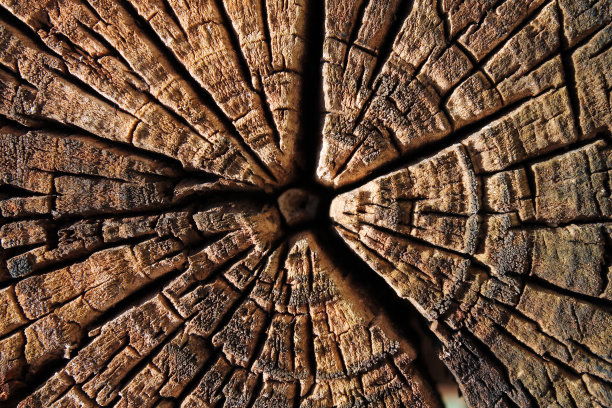 横截面图片下载