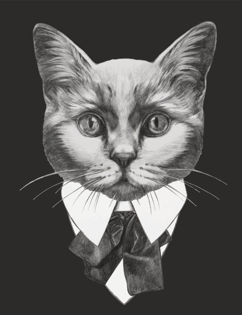 猫手绘时尚插画。图片下载