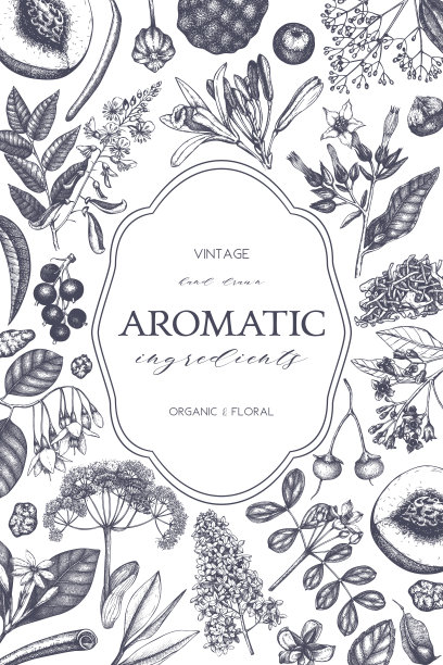 可爱的手绘仙人掌图片下载