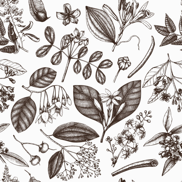 芳香的模式图片下载