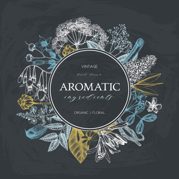 黑板上的黑板图片下载