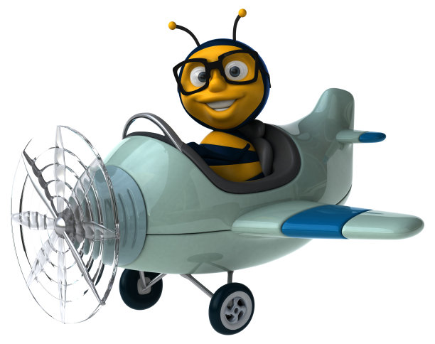 有趣的蜜蜂图片下载