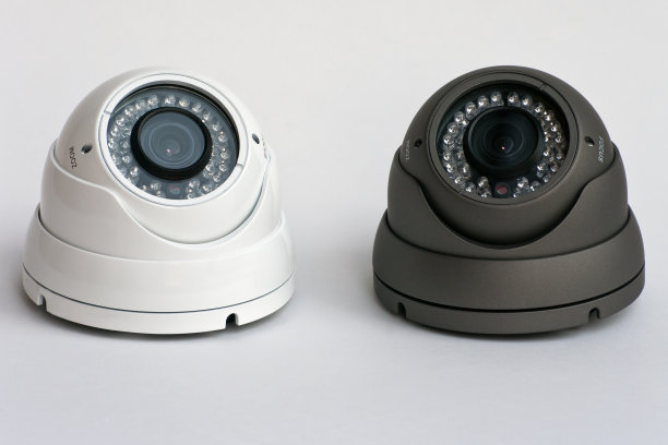 两个防破坏的红外圆顶彩色相机图片下载