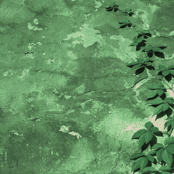 绿色的墙图片下载