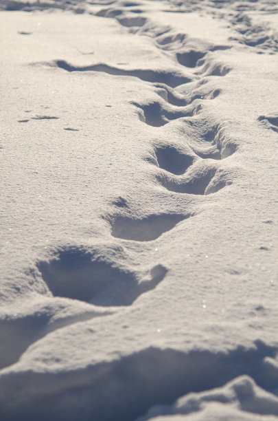 雪地里的脚印图片下载