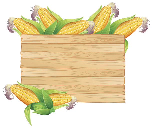 木桶里的玉米图片下载