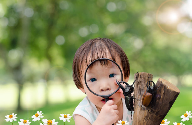 女孩用放大镜看昆虫图片下载