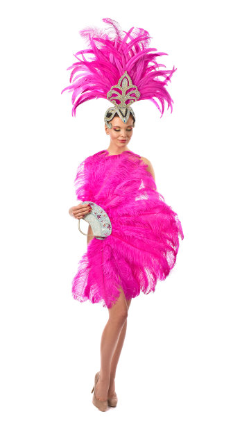 美丽的女孩在狂欢节的服装，孤立在白色的背景。图片下载