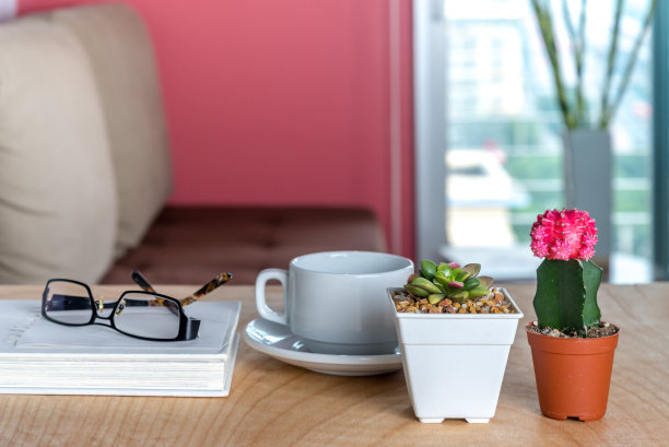 木桌上有仙人掌、多汁壶和咖啡杯装饰图片下载