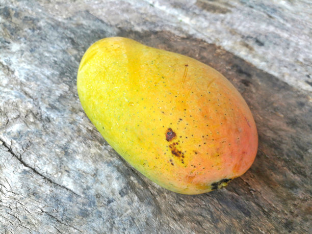 新鲜的水果，成熟的五颜六色的芒果在木板上。图片下载