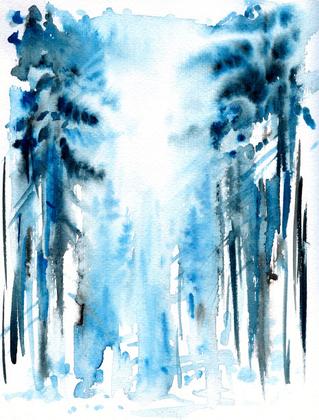 森林在冬天图片下载