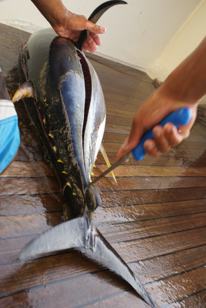 鱼的削减图片下载