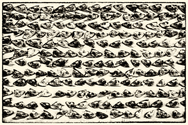 背景与干鱼头图片下载