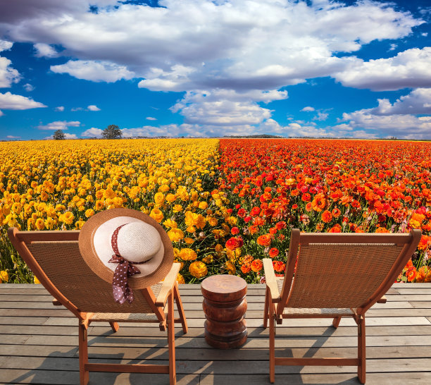 一对方便的躺椅图片下载