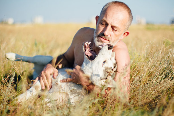老人和他的狗西伯利亚哈士奇玩。的生活方式。图片下载
