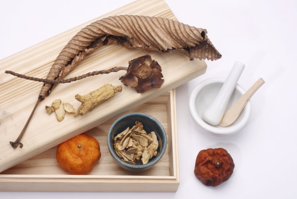 草本植物图片下载