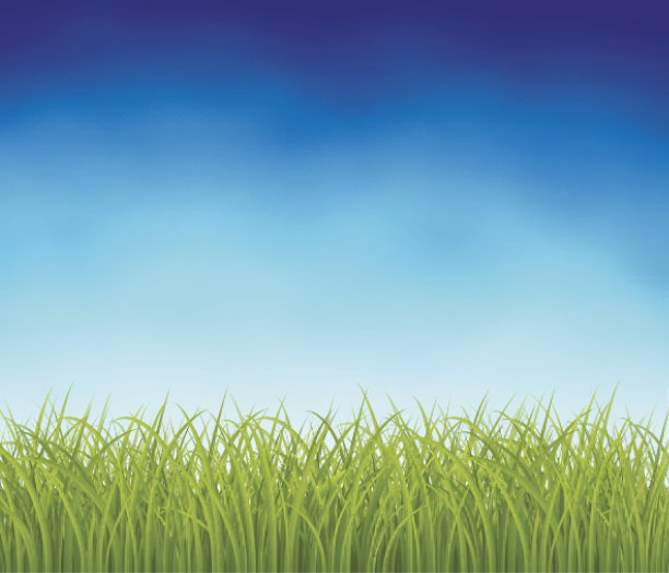 鲜绿的草图片下载