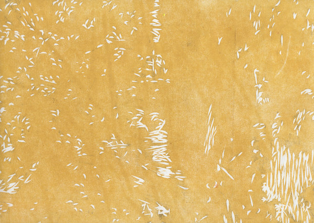 艺术抽象背景。图案打印在纸上。木材切割。打印制作。现代艺术。当代艺术。图片下载