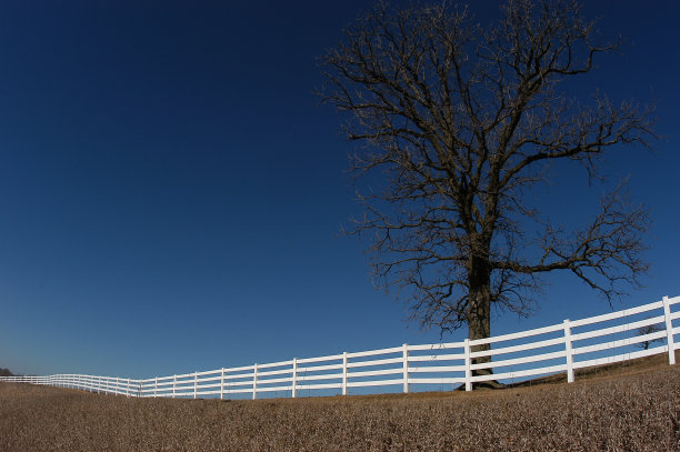 篱笆和树图片下载